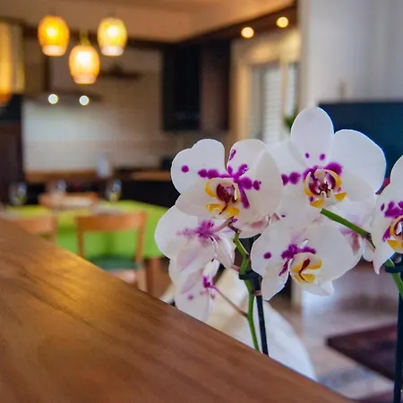 Casa vacanze Amapola El Médano