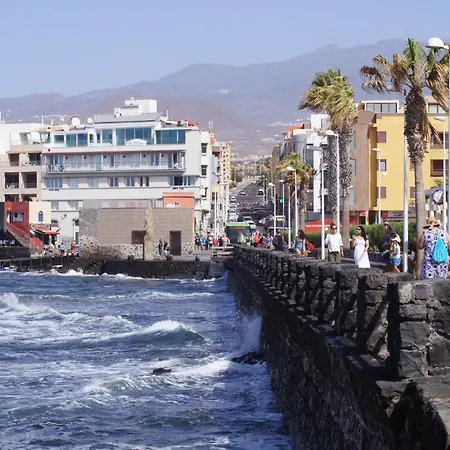 Amapola * El Medano (Tenerife)